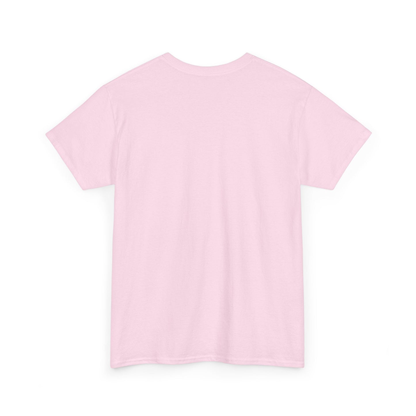 Sandwitch Unisex Heavy Cotton Tee