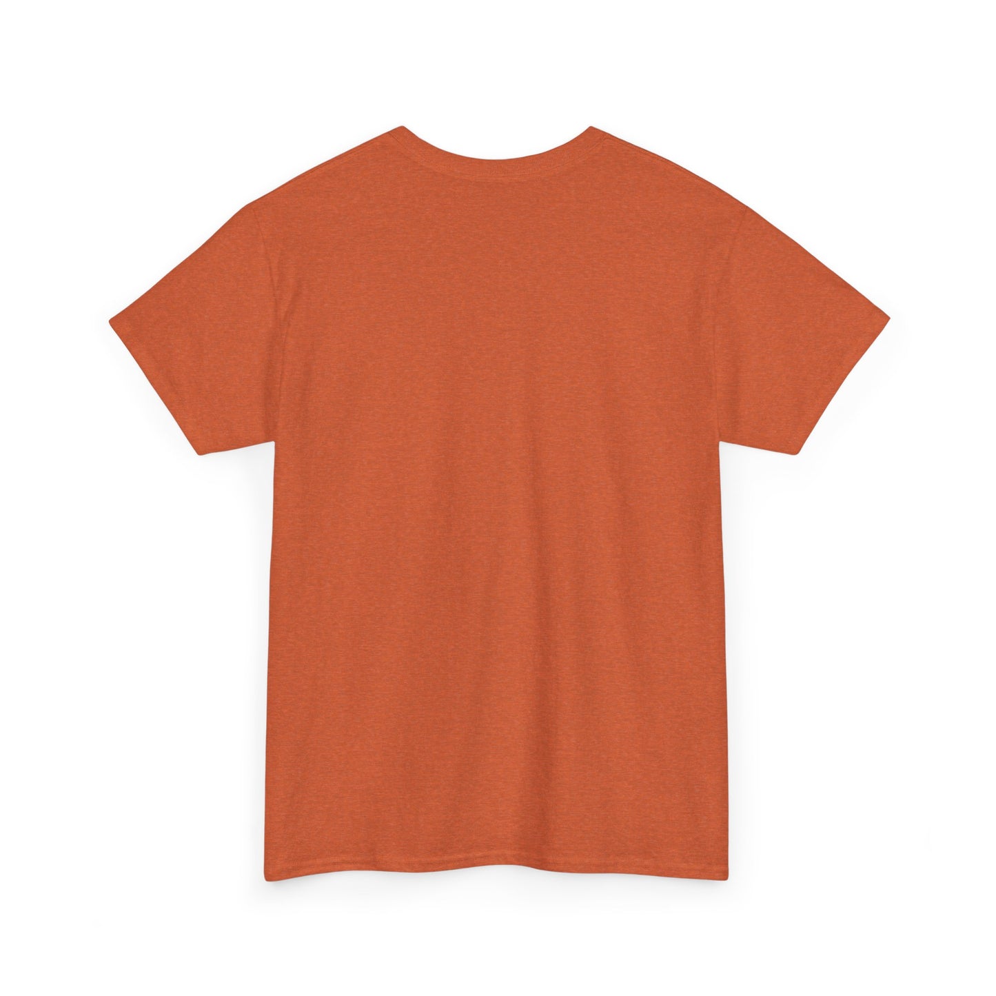 Sandwitch Unisex Heavy Cotton Tee